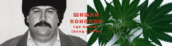 винт Арсеньев